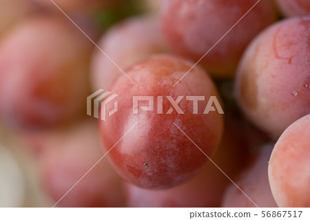 Grapes Grapes 56867517