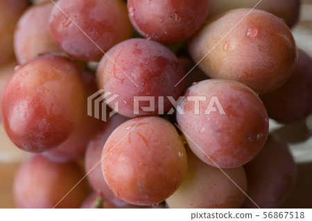 葡萄 56867518
