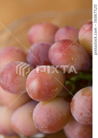 葡萄 葡萄 56867520