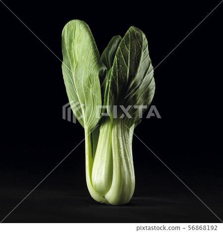 Black background 56868192