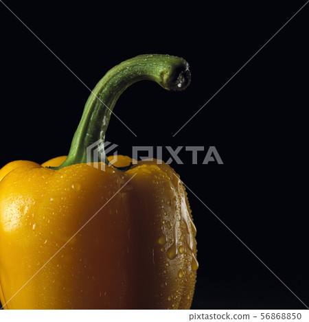 Black background paprika Black background paprika 56868850