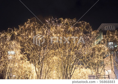 Sendai Hikari no pageant 56868883