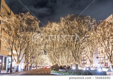 Sendai Hikari沒有選美 56868890