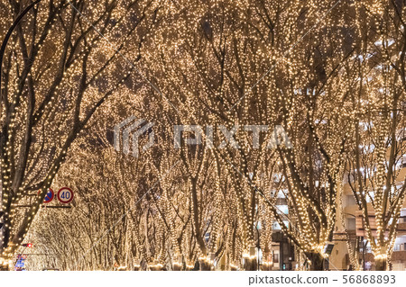 Sendai Hikari沒有選美 56868893