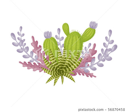 Green cactus on a background of purple plants. Vector illustration on a white background. Green cactus on a background of purple plants. Vector illustration on a white background. 56870458