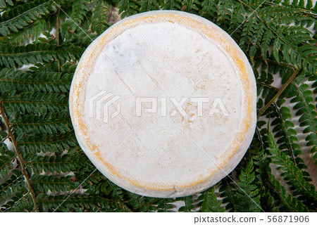 delicious mountain french cheese reblochon, Savoie 56871906