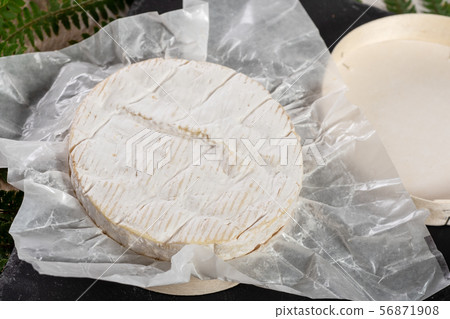 Camembert cheese traditional Normandy French, 56871908