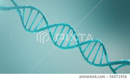 Double helical structure of DNA, DNA molecule, RNA. The concept of biochemistry, biotechnology Double helical structure of DNA, DNA molecule, RNA. The concept of biochemistry, biotechnology 56871916