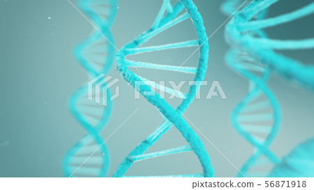 Double helical structure of DNA, DNA molecule, RNA. The concept of biochemistry, biotechnology Double helical structure of DNA, DNA molecule, RNA. The concept of biochemistry, biotechnology 56871918