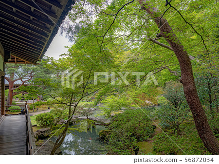 Kyoto Seirin-in Garden seen from Kogosho 56872034