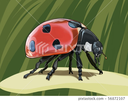 Ladybug (with background) Ladybug 56872107