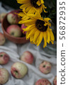 Composition of apple and sunflower 56872935