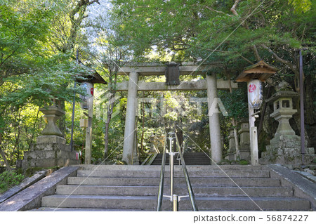 [Toho Shrine]奈良縣櫻井市櫻井 56874227