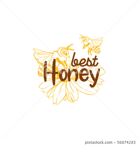 Honey Sketches Logo, Bee Hive, Honey Jar, Barrel, Pot, Spoon and Flower Hand Drawings Honey Sketches Logo, Bee Hive, Honey Jar, Barrel, Pot, Spoon and Flower Hand Drawings 56874283