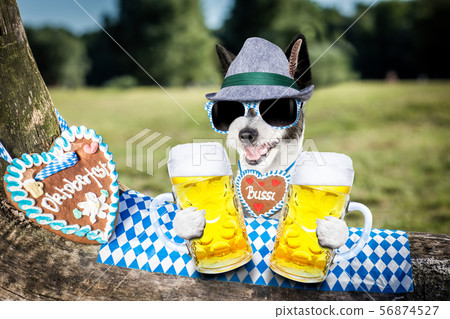 bavarian beer dog bavarian beer dog 56874527