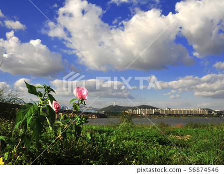 Han River, 63 Building, Pier Han River, 63 Building, Pier 56874546