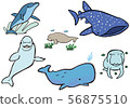 Whales, dolphins and manate waterside creatures 56875510