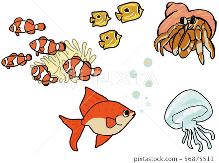 水族館水邊生物 56875511