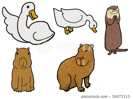 Small animals in the zoo Small animals in the zoo 56875513