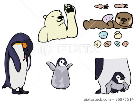 寒區動物 56875514