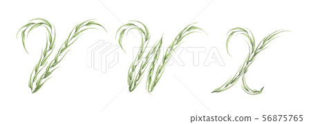 Alphabet of green leaves with letter V, W, X. 56875765