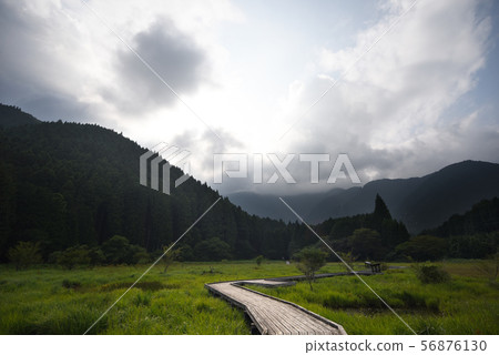 Wetland path and shining clouds 56876130