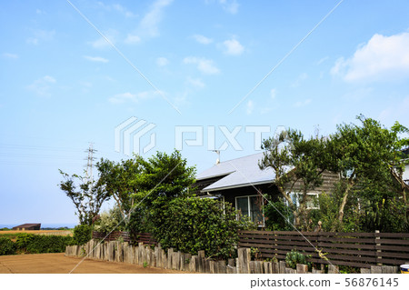 場（夏季） 56876145