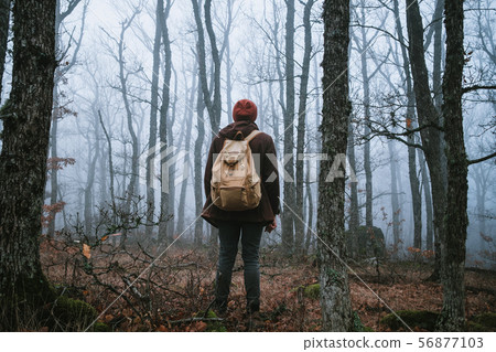 man walking on a dark path through a spooky forest man walking on a dark path through a spooky forest 56877103