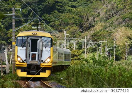 Shinjuku Sazanami (E257 series 500 series) driven mainly on weekends and holidays 56877455