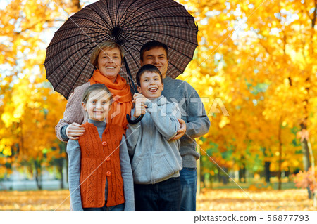 Happy family posing under umbrella, playing and 56877793