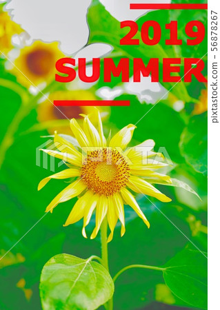 亞洲 亞洲人 日本 56878267