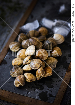 fresh raw clams on a slate tray. 56878347