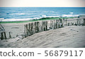 Beach 56879117