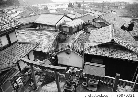 傳統的日本住宅區和神社 56879321