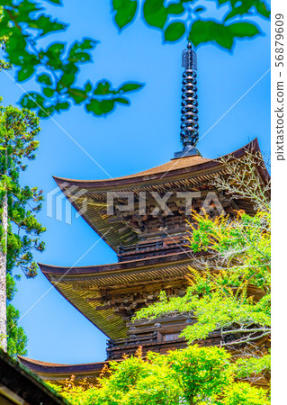 國寶大和寺三重塔青木村[長野縣] 56879609