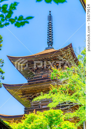 國寶大和寺三重塔青木村[長野縣] 56879614