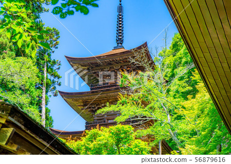 國寶大和寺三重塔青木村[長野縣] 56879616