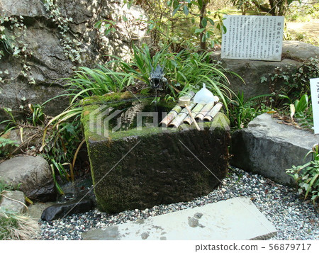 在甲府市的武田神社很好 56879717