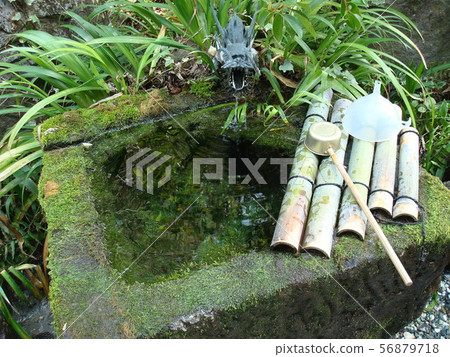 在甲府市的武田神社很好 56879718