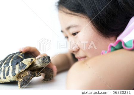 Girl and pet tortoise Girl and pet tortoise 56880281