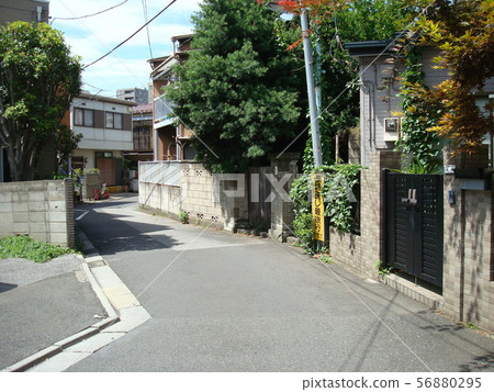 Yanaka Hiroba 56880295