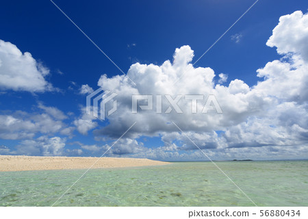 Transparent and beautiful Okinawa sea and summer sky 56880434