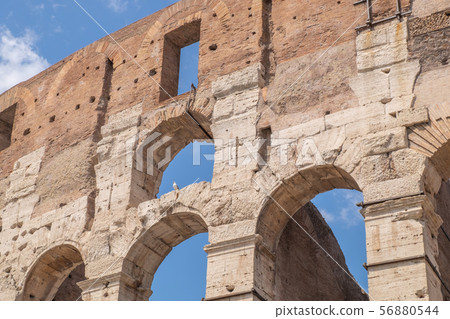 Colosseum in Rome 56880544