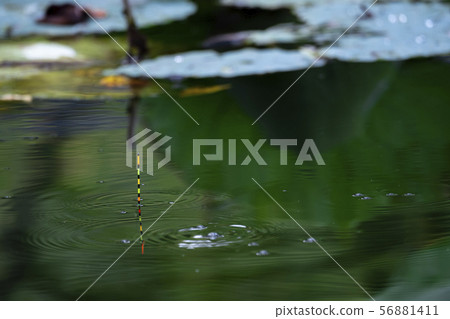 抹刀漂浮小鏟釣魚 56881411