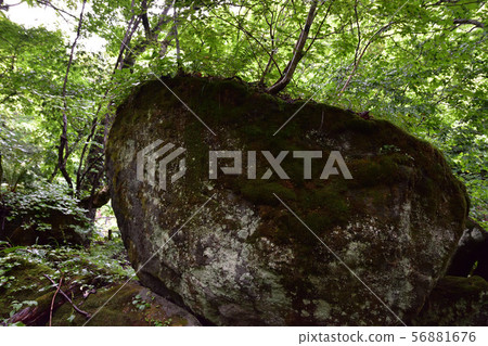 Oirase Rock Oirase Rock 56881676