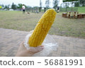 玉米 56881991