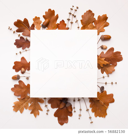 Bronze autumn square frame of oak dead leaves on white Bronze autumn square frame of oak dead leaves on white 56882130