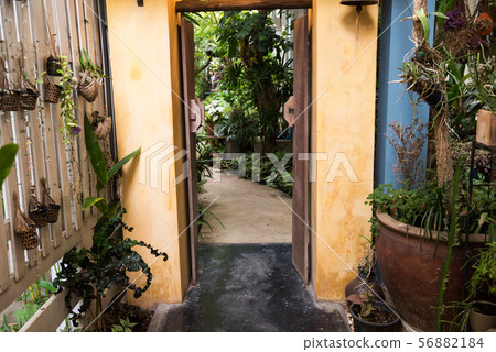 Entrance gate with greenery garden decoration Entrance gate with greenery garden decoration 56882184