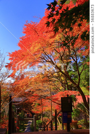 （Mt. Ontake）Banshu Kiyomizu Temple（Hiraki，Kato City） 56883673