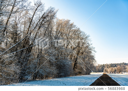 Sunset in a cold white winter day landscape. Road Sunset in a cold white winter day landscape. Road 56883988